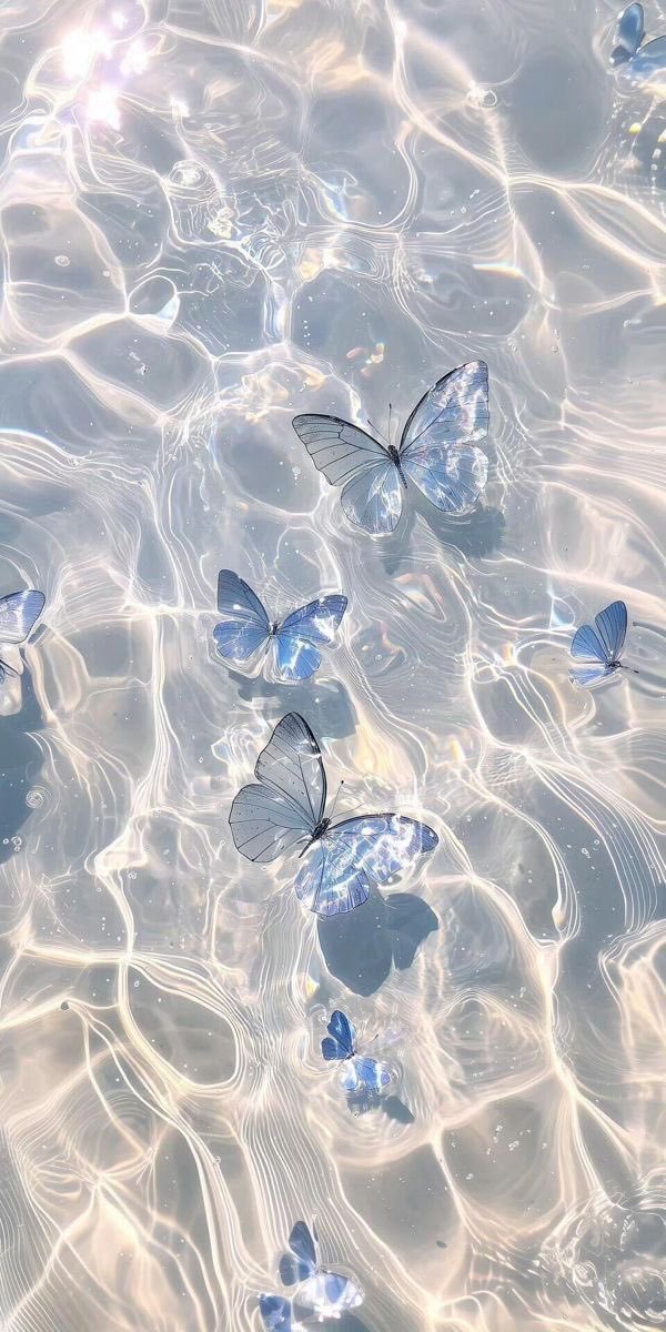 Aesthetics (@aestheticspost_) on Twitter photo 
