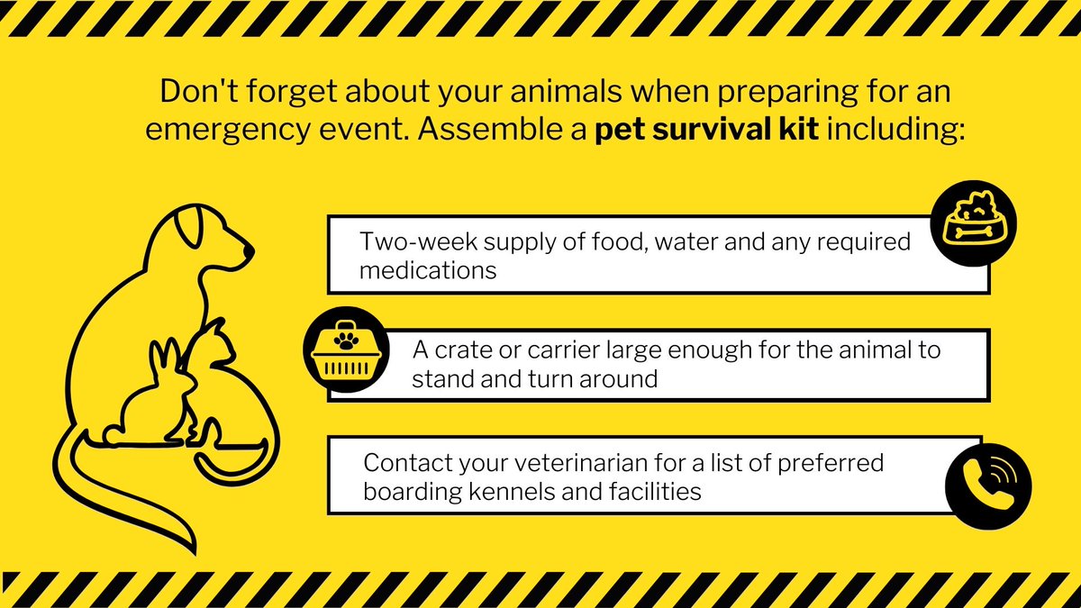 BrowardTransit's tweet image. Secure and prepare your pets as you do for your family. Their comfort and safety matter during hurricane season.

For more information, please visit the official Broward County Preparedness Guide at Broward.org/Hurricane.
.
.
.
#BrowardTransit #BCT #HurricaneSeason #SafetyTips