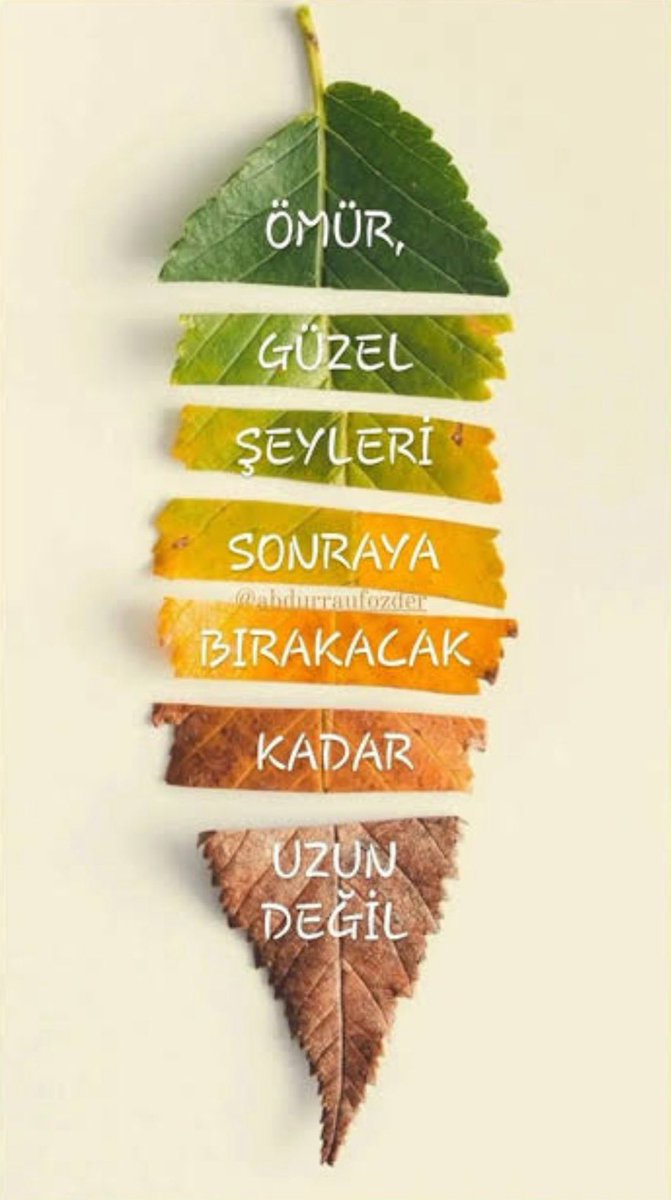 Just Hold Me (@xjustholdme) on Twitter photo 