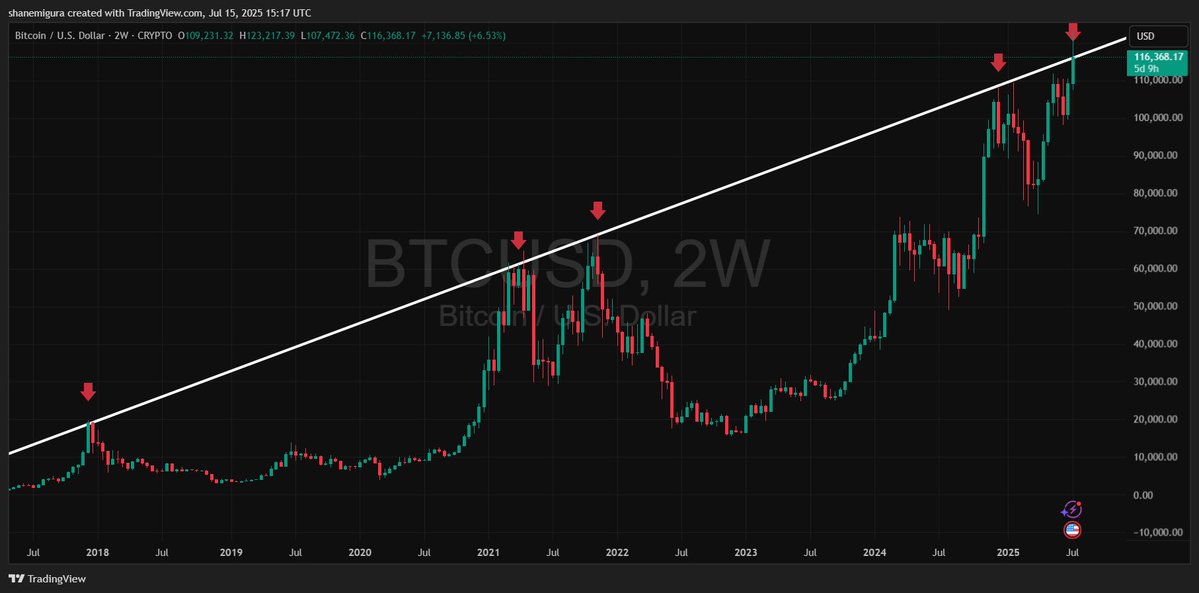 TheSqeakyMouse's tweet image. Don’t let euphoria distract you from reality #Bitcoin