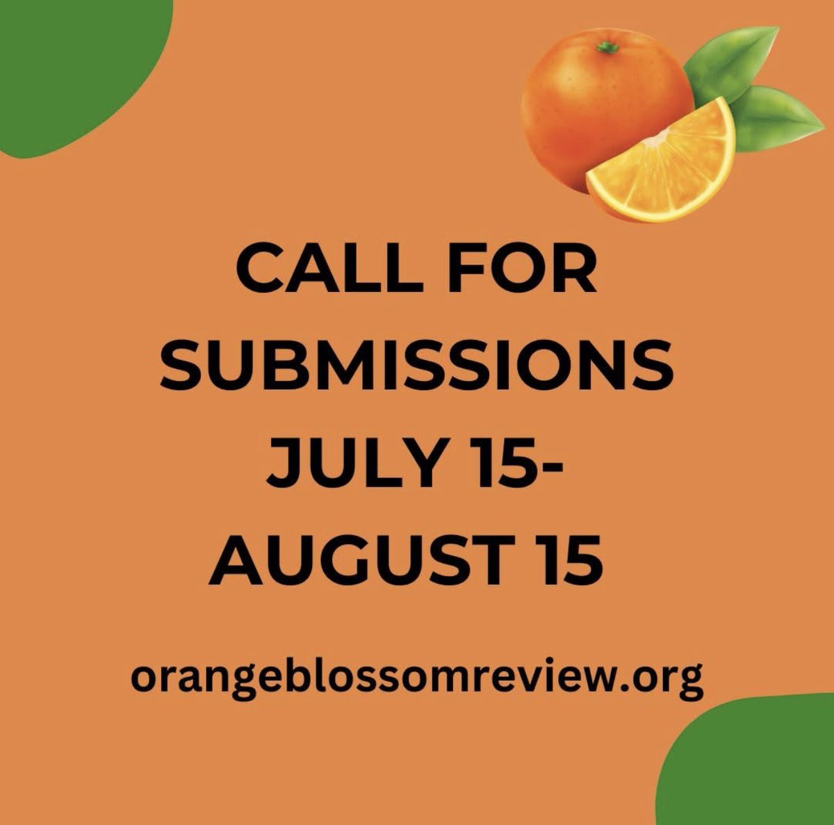 Dr. Deirdre Fagan tweet media