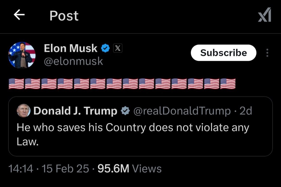 🦉🏁 tweet media