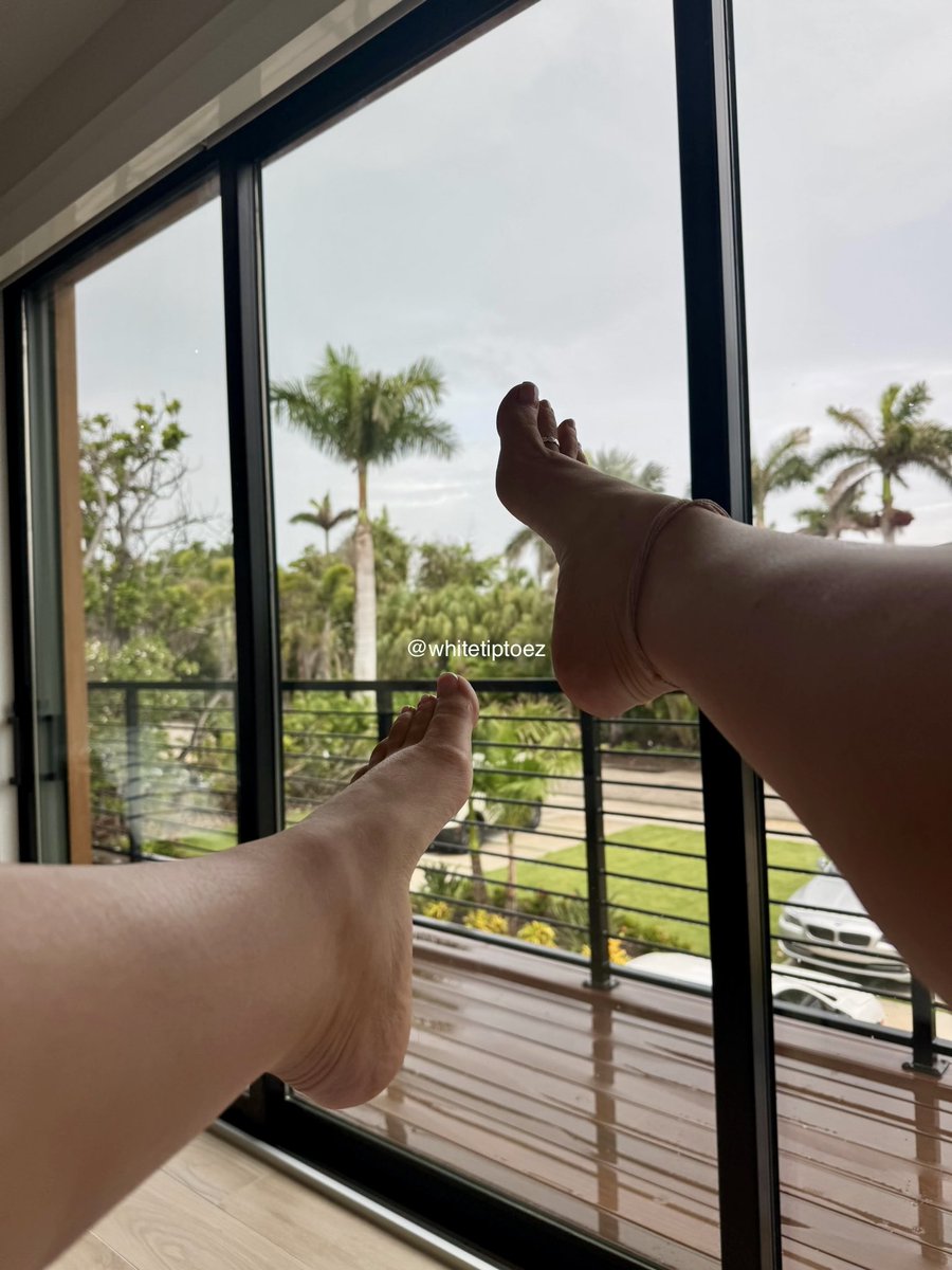 WhiteTipToez's tweet photo. @FeetFinder Good morning 🤍🫶🏻 which view is better the pretty palm trees? Or my pretty feet? You tell me😘 #prettytoes #prettyfeet https://t.co/jvvPH6Wu8I