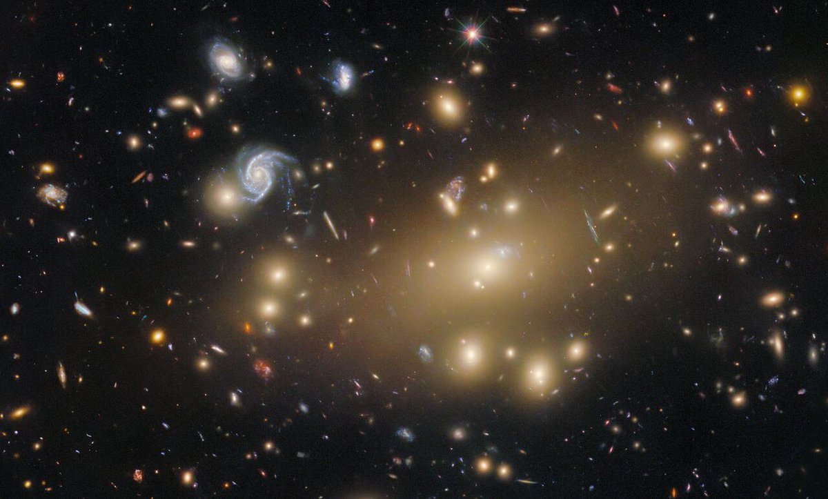 NASA360's tweet image. A galaxy cluster so massive it warps space itself! This @NASAHubble image of Abell 209 — a staggering 2.8 billion light-years away — reveals galaxies bent by gravity, a subtle signature of dark matter at work. Explore more: go.nasa.gov/4eN2flt