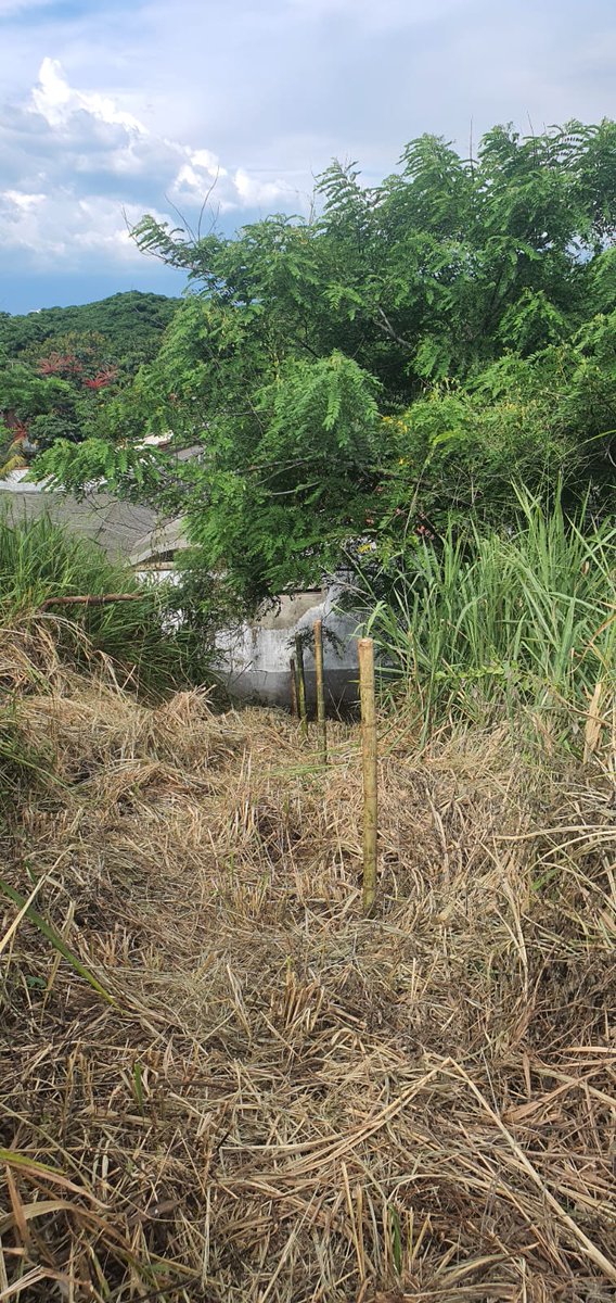 ALERTA en el Cerro La Perla linda‼️

Nos han llegado denuncias de la comunidad sobre intentos de invasión en el Cerro La perla linda con bajo Menga. Hacemos un llamado urgente a la <a href="/SeguridadCali/">Seguridad y Justicia</a> para que intervenga de inmediato y evite que se consoliden ocupaciones ilegales.
