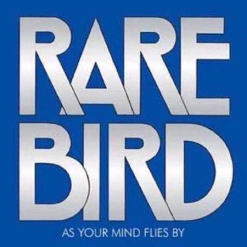 Albums2Hear's tweet image. #albumsyoumusthear Rare Bird - As Your Mind Flies By - 1970