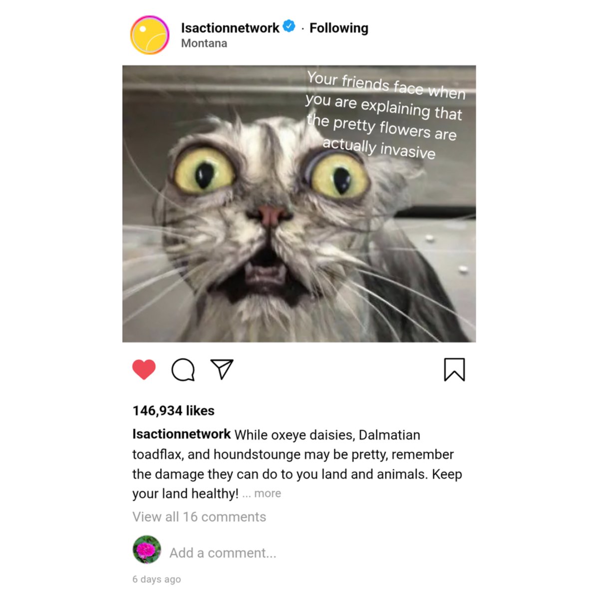 Stop_AIS's tweet image. Last week, we had the opportunity to lead two workshops for students at the annual 2025 Montana #4H Congress🐎✨
Students learned about preventing #invasivespecies & practiced #outreach by creating "mock" social media posts. Click through to see some of their amazing creations!