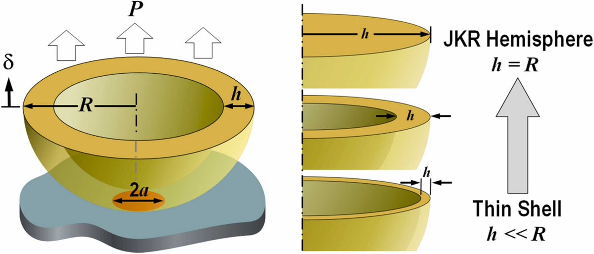 EmlWebinar's tweet image. ๐งฒ How does shell thickness affect adhesion?
Elastomeric hemispherical shells show:
โ๏ธ Thick โ Hertz-JKR-like pull-off
๐ Thinner โ weaker adhesion
๐ Ultra-thin โ adhesion increases again!
๐งช Experiments + FEM agree
๐ Read: doi.org/10.1016/j.eml.โฆ
#adhesion #mechanics