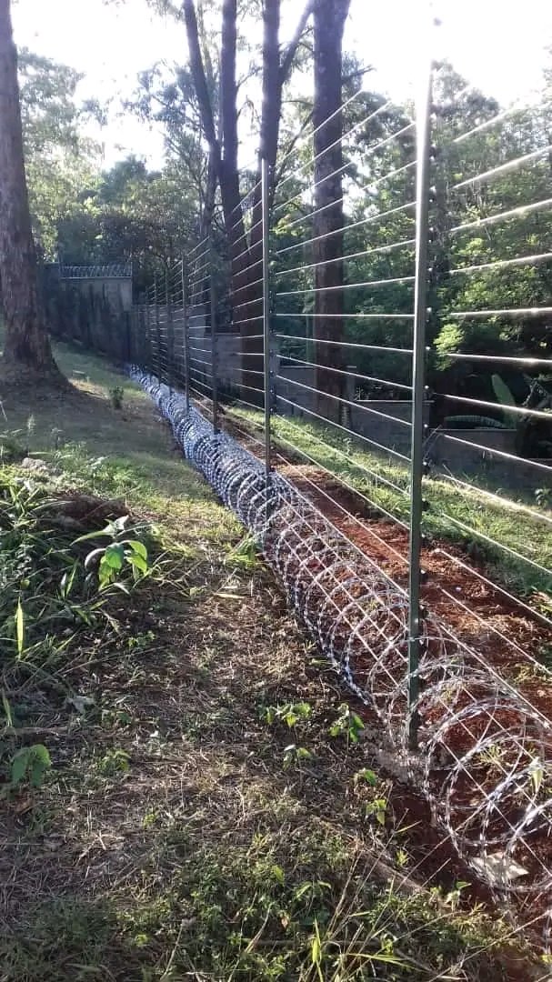 Michael Okumu (@michael_ok92441) on Twitter photo 