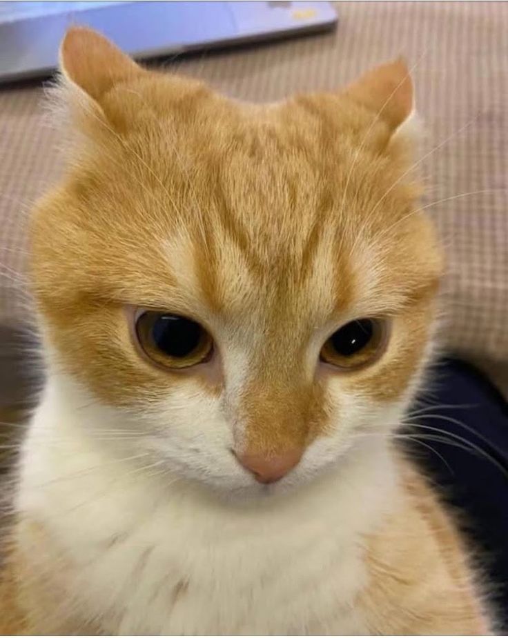 rmncsgo's tweet image. Preocupado hoje