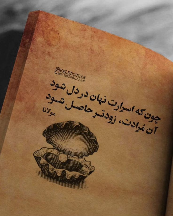 WorldwideUSD's tweet image. حضرت مولانا توی یکی از داستانهای مثنوی میگه که:
اگر دانه ای رو کاشتی به هیچکس راجع بهش نگو چون حتی اگه یه کلاغ جای اونو یاد بگیره ثمرهی کارتو از دست میدی چه برسه اینکه آدما ازش با خبر بشن
هر ایده، هدف، تفکر، برنامه ای تو ذهنتون هست تا زمان به ثمر نشستنش به کسی چیزی نگید...