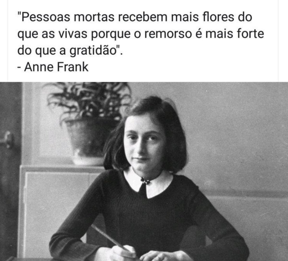 q canetada da aninha slk