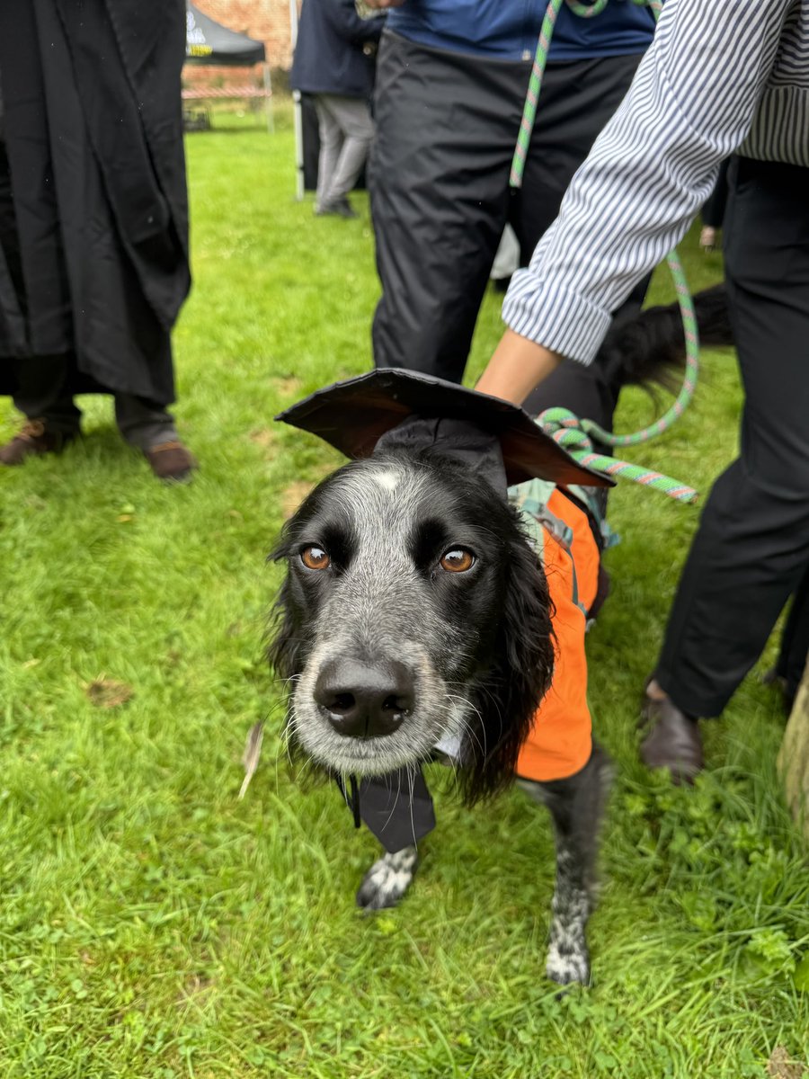 The Pears Cumbria School of Medicine (@cumbriamed) on Twitter photo Congratulations to all graduates 🎓
In just four years, our new medical school will graduate its inaugural class. Wishing everyone at the University of Cumbria a wonderful graduation from all at PCSM 💫
<a href="/CumbriaUni/">University of Cumbria</a> Congratulations to all graduates 🎓
In just four years, our new medical school will graduate its inaugural class. Wishing everyone at the University of Cumbria a wonderful graduation from all at PCSM 💫
<a href="/CumbriaUni/">University of Cumbria</a>