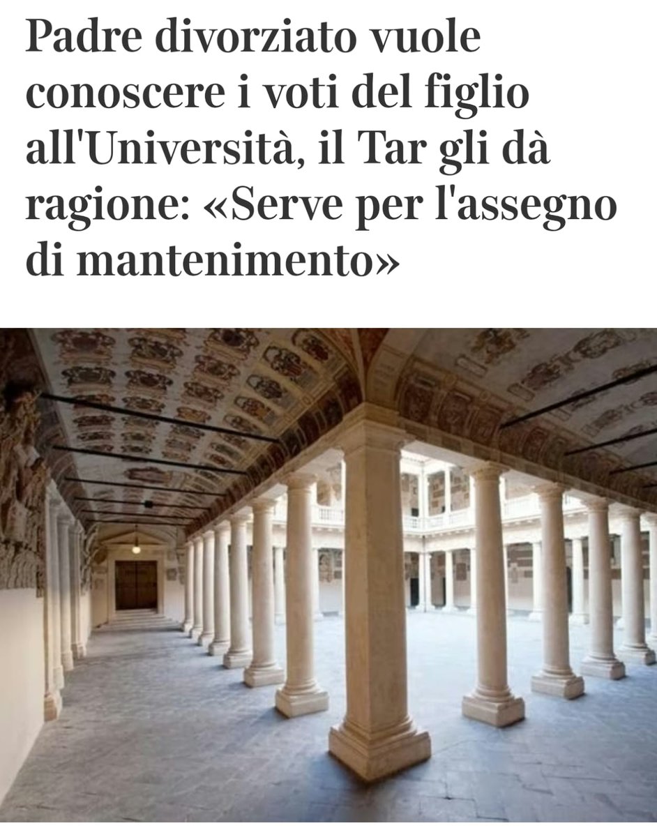 Real Volpe tweet media