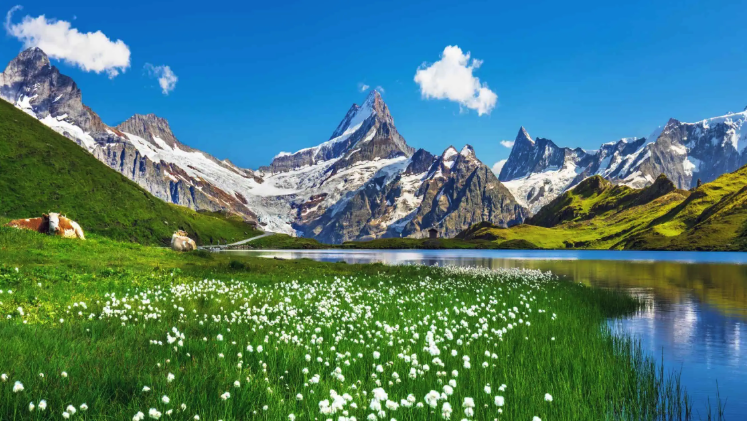 On August 1st, Switzerland commemorates its unity, heritage, and breathtaking landscapes, many of which are shaped by its pristine lakes, rivers, and Alpine waters. 🇨🇭

Wishing everyone a wonderful Swiss National Day filled with joy, BBQs, and maybe a dip in a Swiss lake! 🏔️