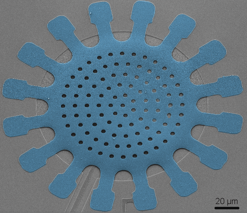 Editors' Suggestion: Compact superconducting vacuum-gap capacitors with low microwave loss and high mechanical coherence for scalable quantum circuits
Amir Youssefi, Mahdi Chegnizadeh, Marco Scigliuzzo, and Tobias J. Kippenberg
go.aps.org/4nBswa5