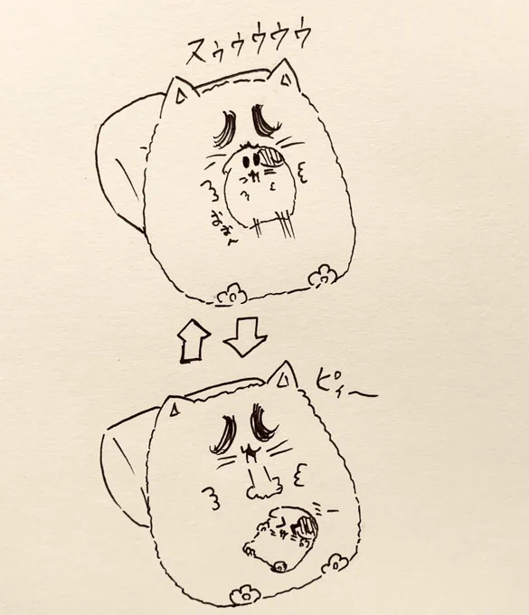 🐱<ホヒャホ(寝ましょう) 
