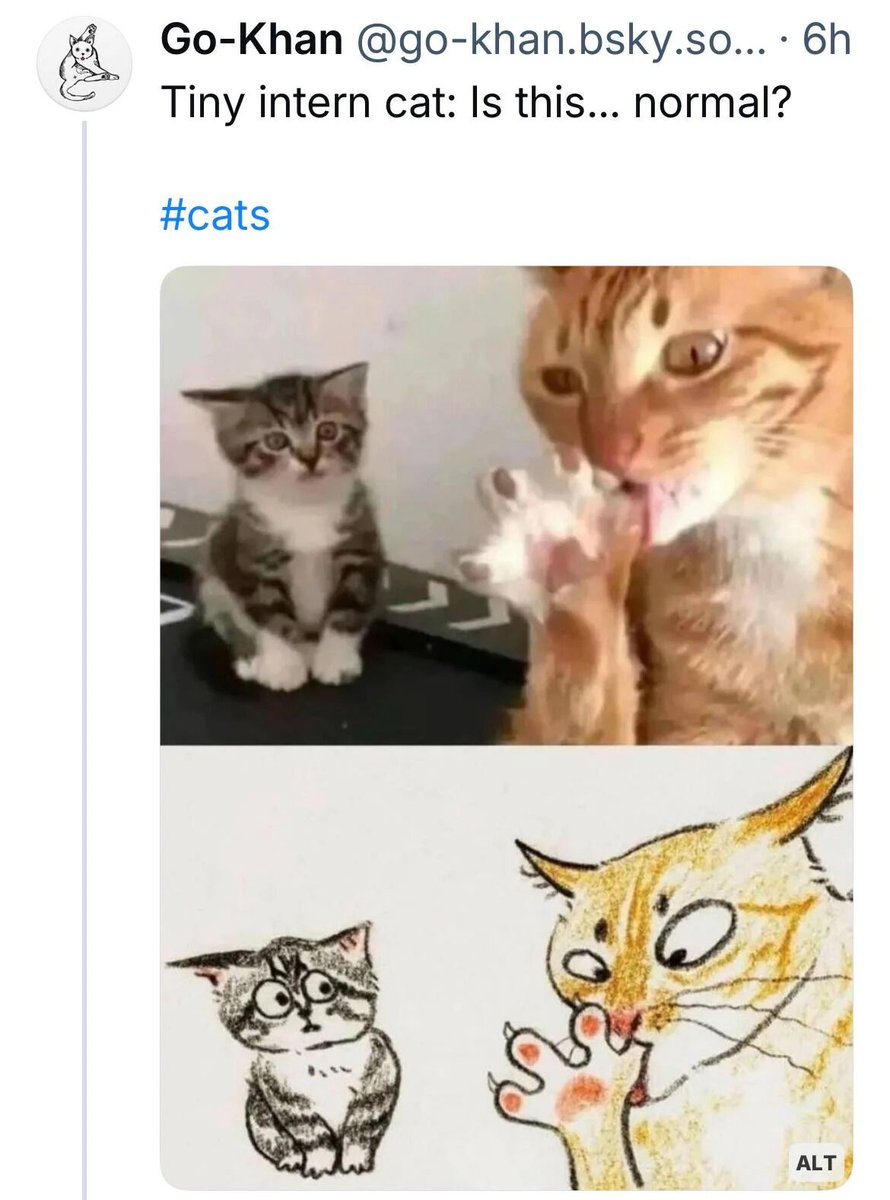 WholesomeMemes (@wholesomememe) on Twitter photo 