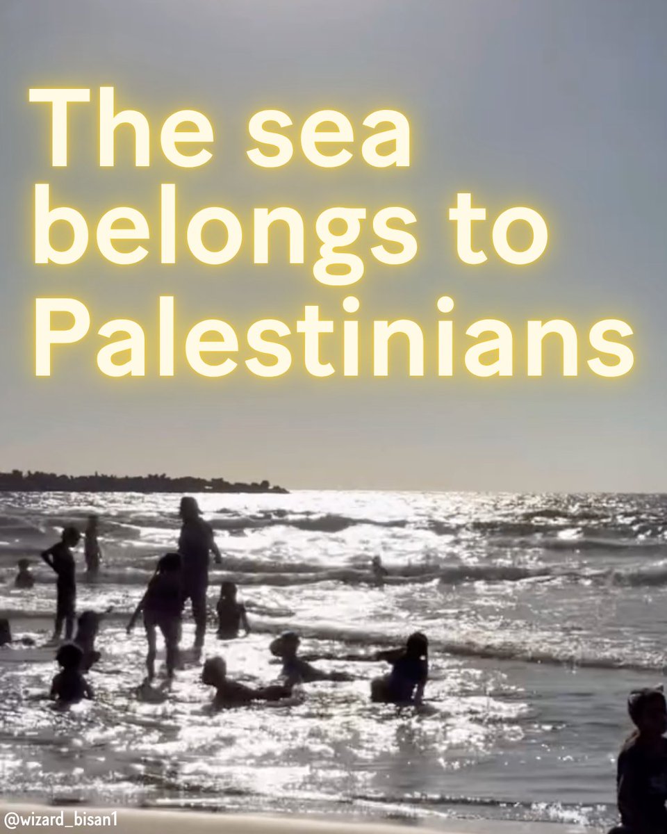 Since July 12, the Israeli military has forbidden Palestinians from entering the sea for any reason. This cruel and inhumane order is deliberately timed to coincide with the extreme heat wave gripping Gaza now, with temperatures over 90 degrees Fahrenheit and 60% humidity.