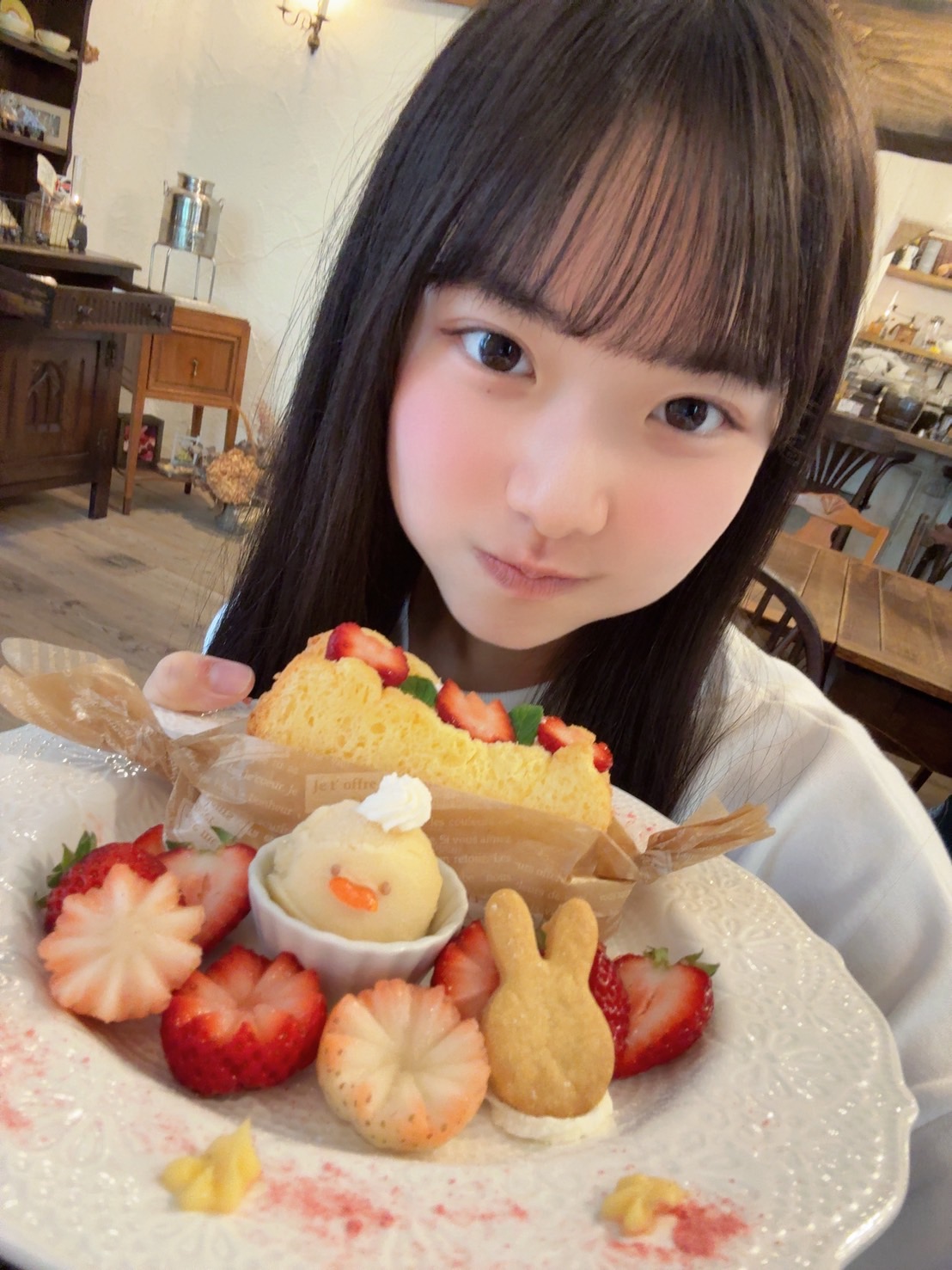 NMB48 ニャンコトランプ NMB48 ニャンコトランプ NMB48 ニャンコトランプ-公式オンライン