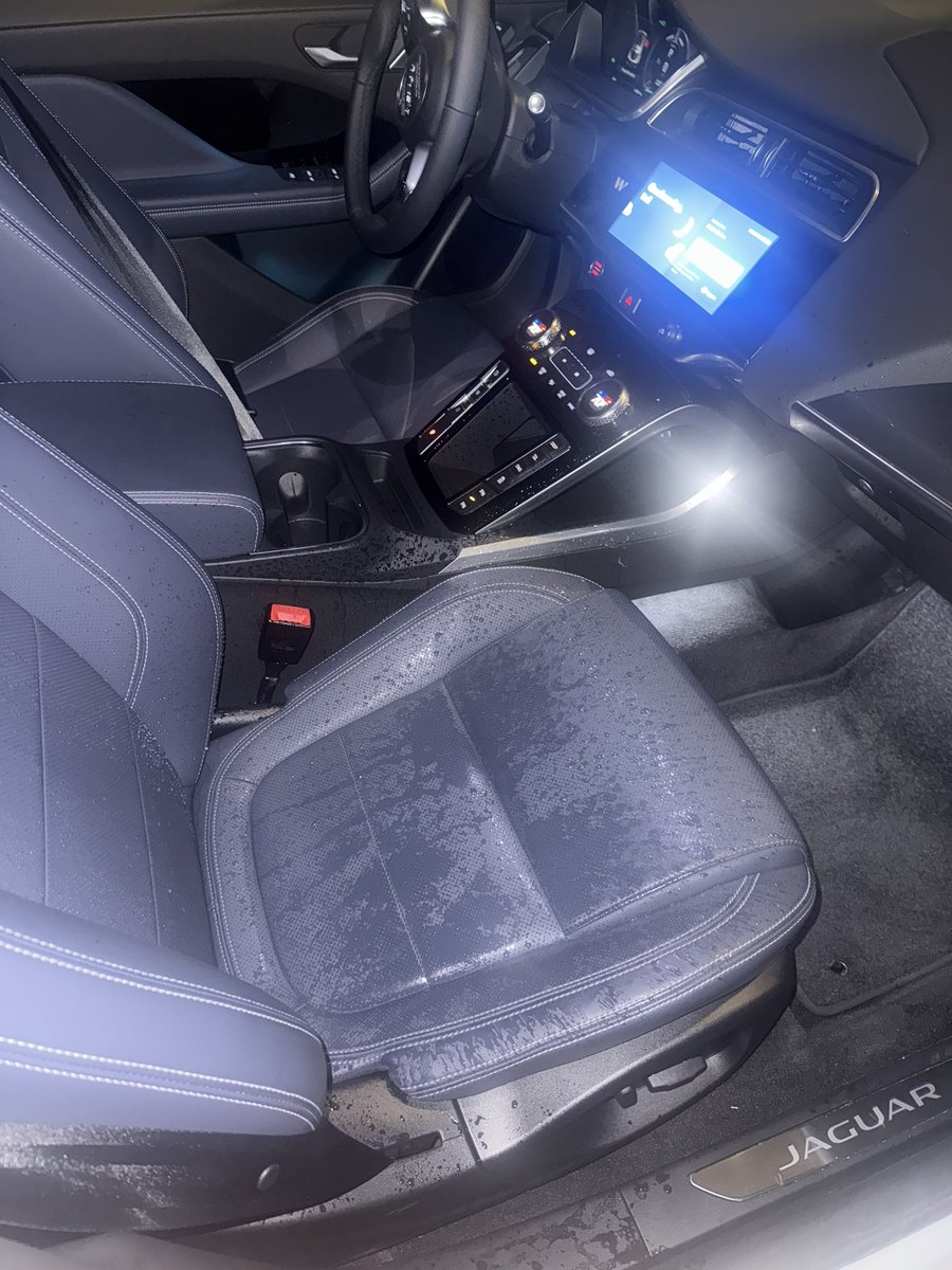 tednotlasso's tweet image. last night my waymo pulled up like this. diabolical. why??? who hurt you???