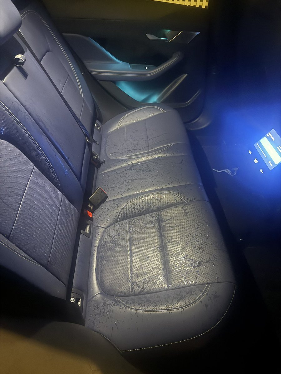 tednotlasso's tweet image. last night my waymo pulled up like this. diabolical. why??? who hurt you???