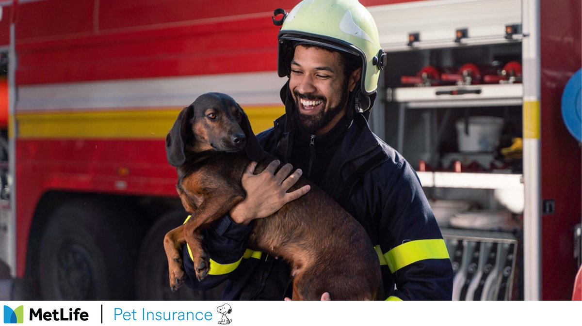 Today is National Pet Fire Safety Day!  Do you have a plan in place for your pets in case of a fire?

hubs.ly/Q03xjr1k0