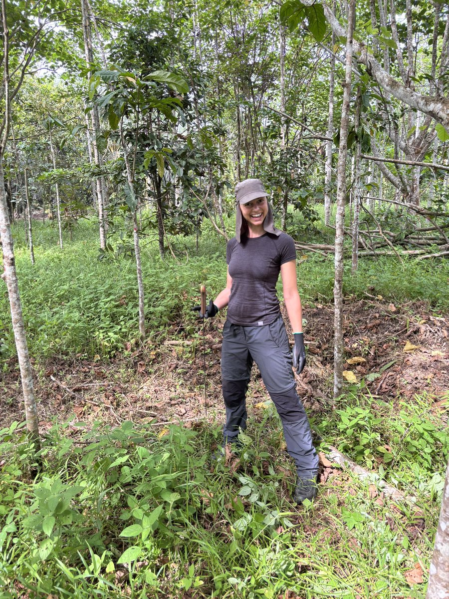 We started the day working on tree maintenance in @kopel_bhd, which involved cutting down grass to ensure recently planted trees had enough light to grow 🌱 <a href="/TAExpeditions/">True Adventure</a> <a href="/RGS_News/">RGS News</a>