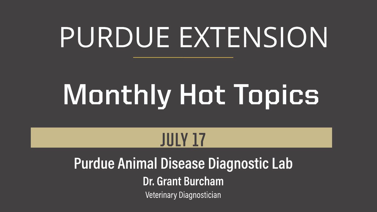 PurdueExtension's tweet image. Join #PurdueExtension July 17 for the next Monthly Hot Topic featuring Dr. Grant Burcham, veterinary diagnostician with Purdue University College of Veterinary Medicine, as he talks about Purdue’s Animal Disease Diagnostic Lab. Register for this free, virtual program here:…