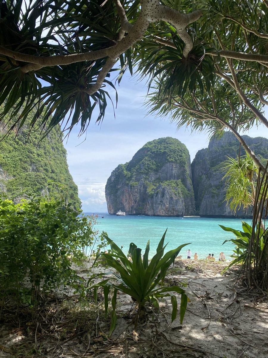 goddessexcess's tweet image. Fueled by the allure of the sun, stars, and the natural world.