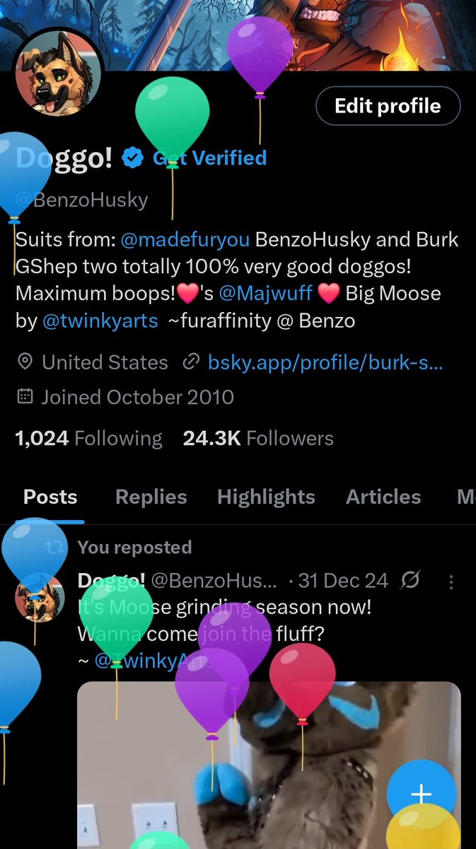 BenzoHusky's tweet image. Its the fluffs birthday today woo! Send me treats and hugs! Plz^^