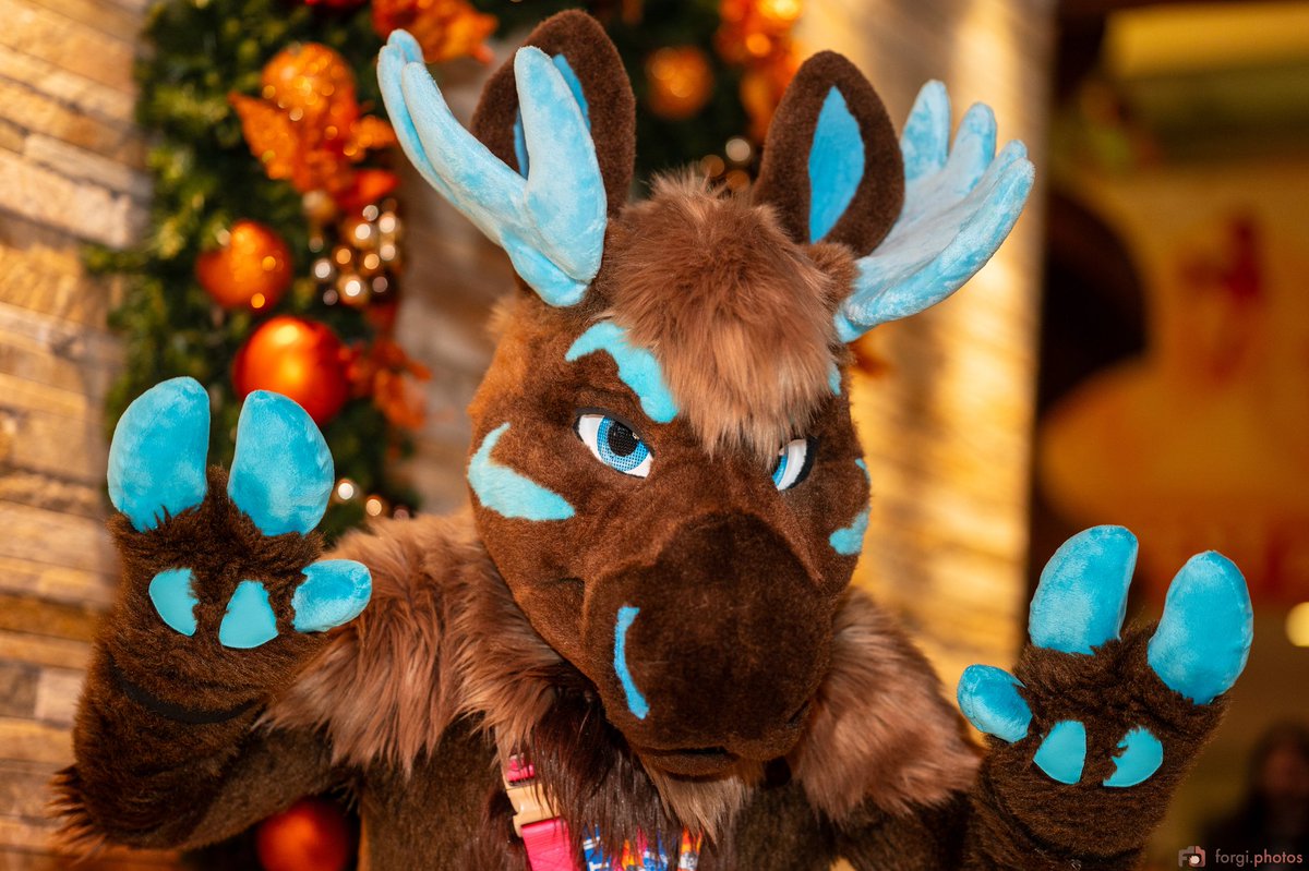 BenzoHusky's tweet image. Its the fluffs birthday today woo! Send me treats and hugs! Plz^^