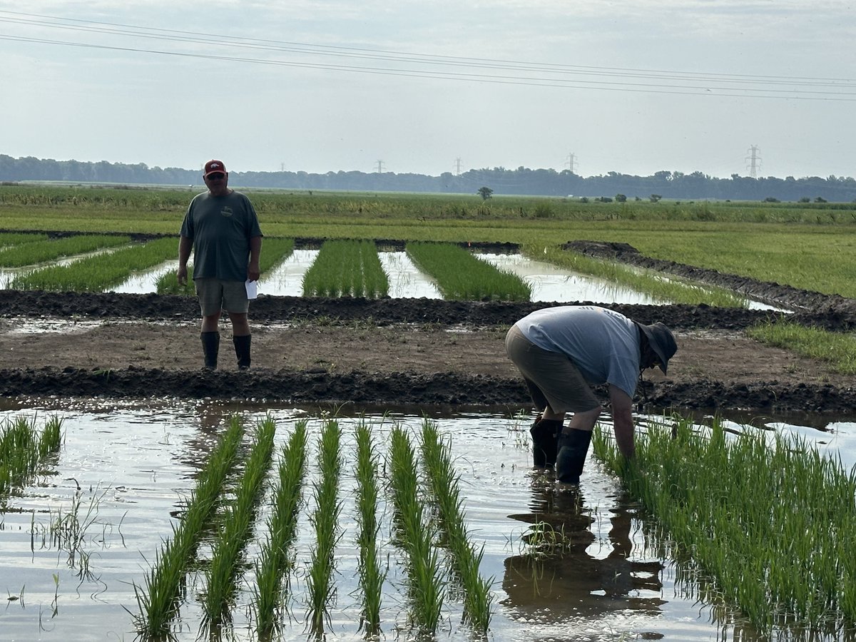 Kannar Agriscience, Inc. tweet media