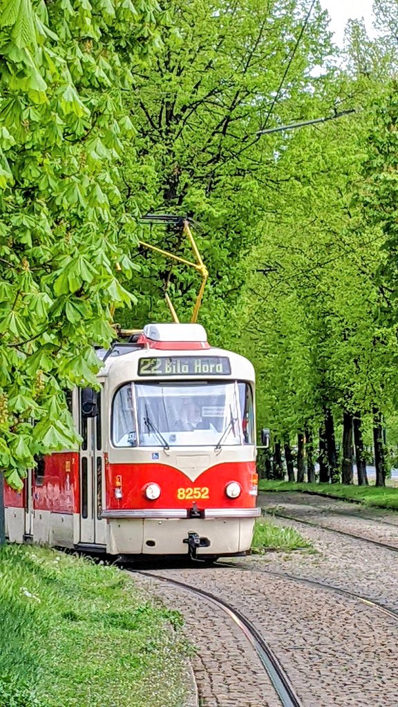 プラハの路面電車🇨🇿

TBS系列の「マツコの知らない世界」、今回のテーマは路面電車の世界、チェコのトラムが一発目に紹介されましたよ✨
マツコさんも現役で走っている旧型車両に「可愛い〜😍」と叫んでいましたね😆
まだTVerでは見れるので是非。