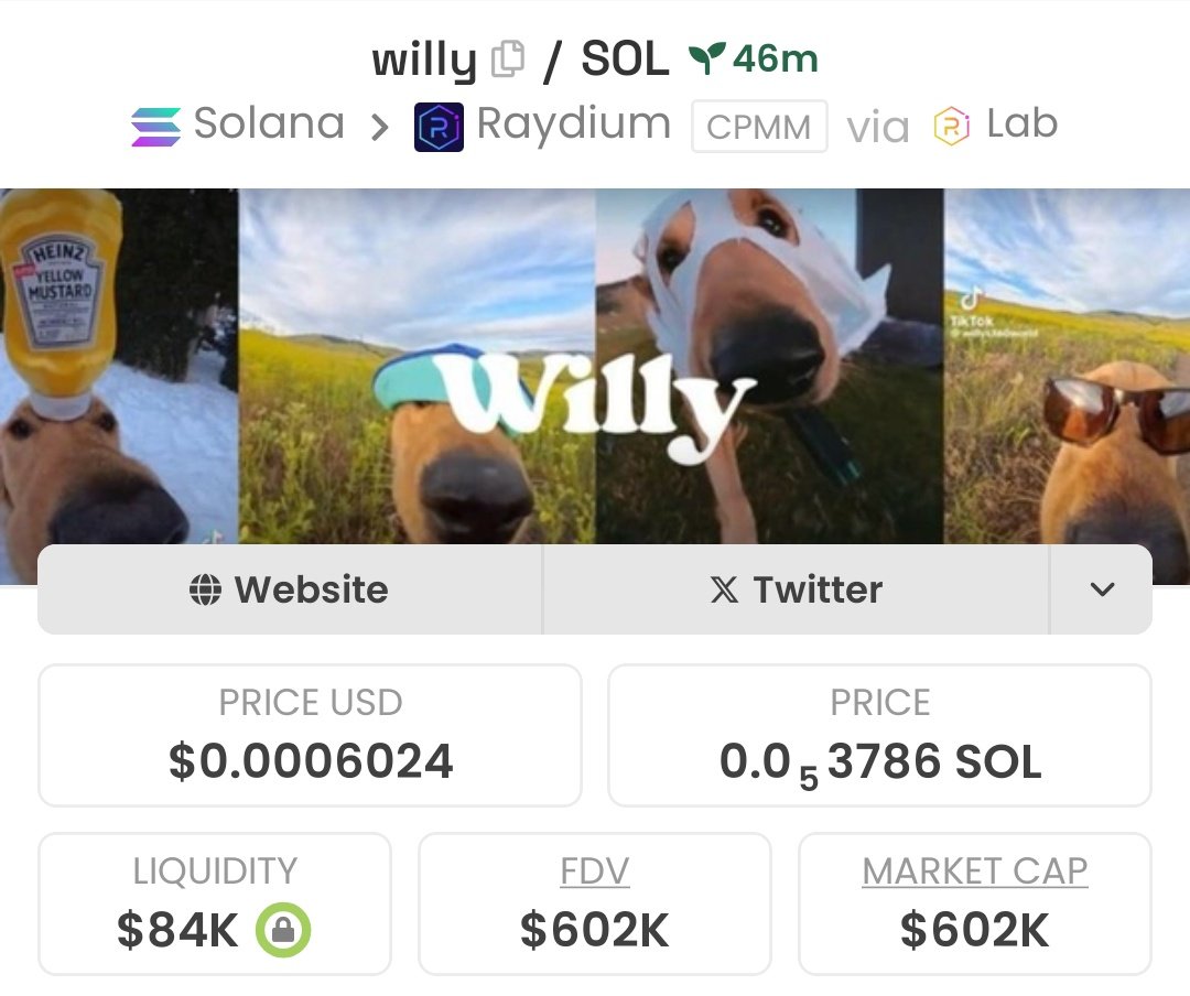 MarketCaptainn's tweet photo. $willy just went from 0 to 8x ๐๐ฐ
No hype, just results, and the real ones caught it on my Telegram ๐
If you missed this, there's more dropping on my Telegram ๐ฅ
Be there ๐๐
CA: 4nvwrQ6wQWw8k6dfGn2zQvrg5z9mAaC7HpnZGe64bonk
#SOL #SOLANA #willysworld
#memecoin #Crypto #WILLY https://t.co/DG6rBxJbx9