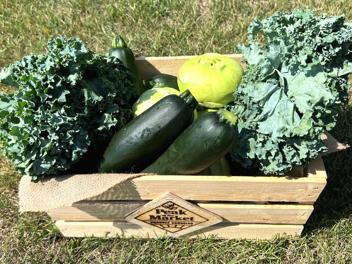 PeakoftheMarket's tweet photo. A little box of Manitoba sunshine! 🌞
We can’t wait for you to try this amazing kale, zucchini, and kohlrabi — fresh from the fields and heading to stores near you! 🥬🥒💚
#ManitobaGrown #FarmFresh #EatLocal #HarvestSeason https://t.co/1NLDRL8ymG
