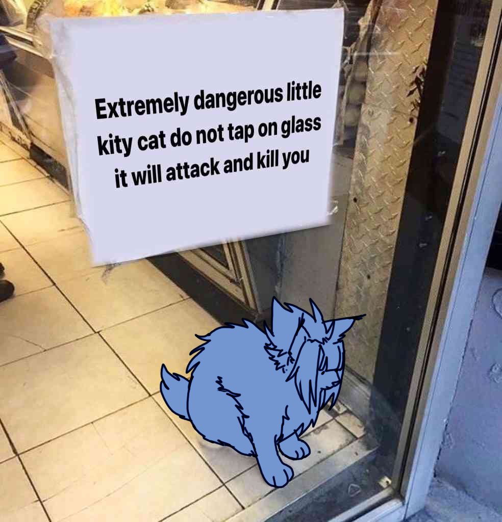 some cat that i made to match with friends