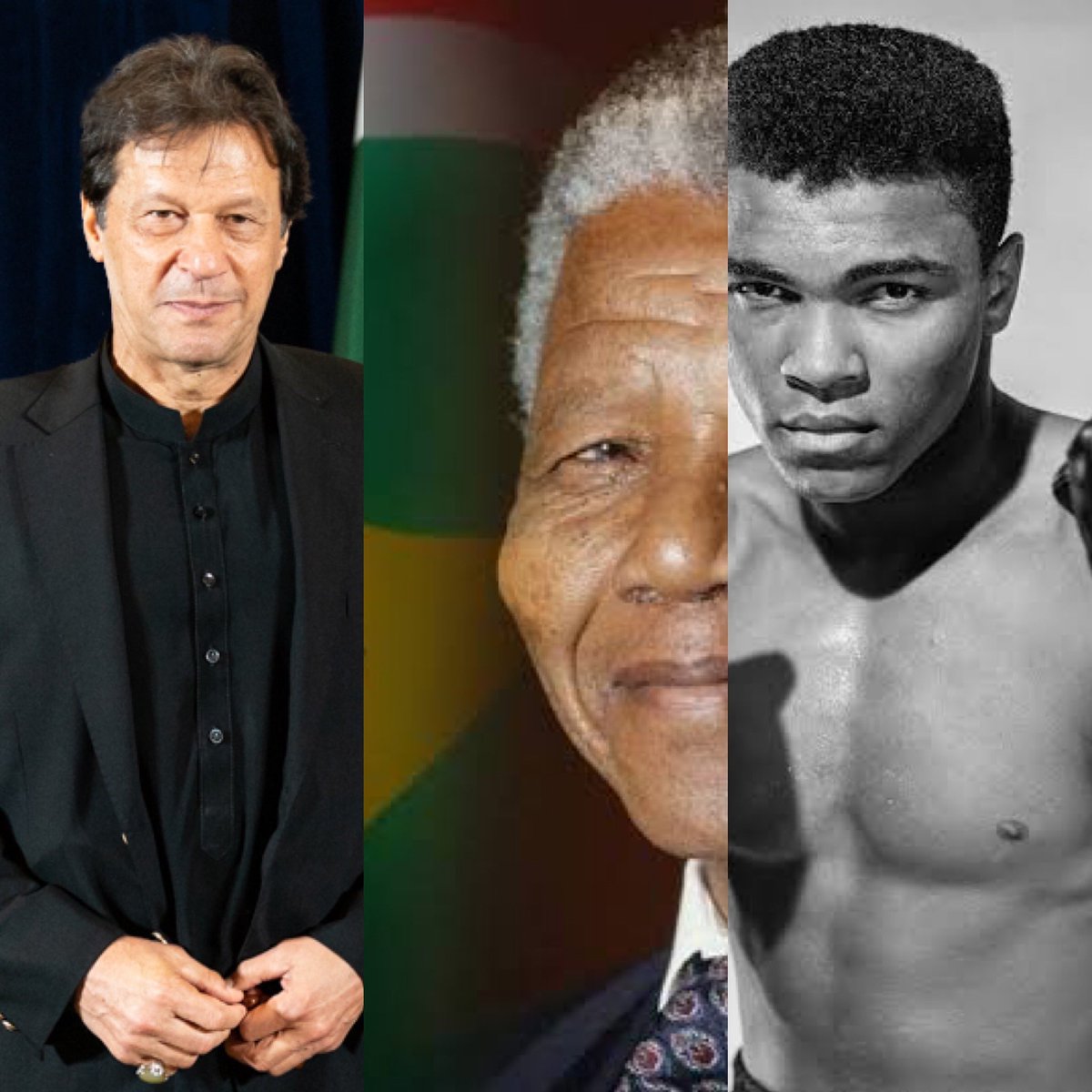 Qasim Sheikh (@sheikhyssj1) on Twitter photo This world is full of many who tiptoe around issues & avoid addressing the🐘in the room. I’ve always stood against that mindset. That’s why I admire role models like late Muhammad Ali,Nelson Mandella,+ <a href="/ImranKhanPTI/">Imran Khan</a> — they spoke truth to power 💪🏽 This world is full of many who tiptoe around issues & avoid addressing the🐘in the room. I’ve always stood against that mindset. That’s why I admire role models like late Muhammad Ali,Nelson Mandella,+ <a href="/ImranKhanPTI/">Imran Khan</a> — they spoke truth to power 💪🏽
