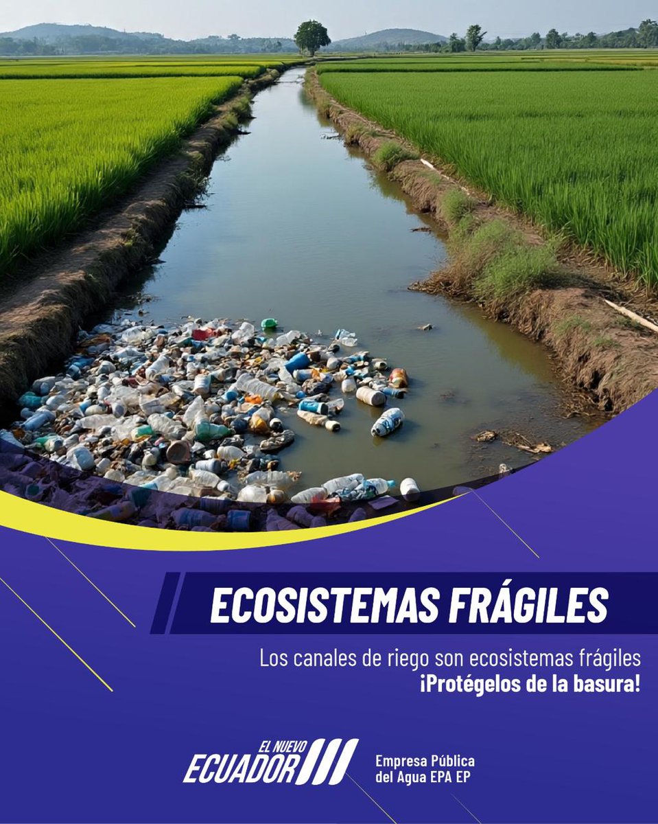 Desde la Empresa Pública del Agua EP continuamos trabajando en la limpieza de canales para prevenir inundaciones y mantener nuestro medio ambiente limpio, saludable y sostenible. 

Cuidar nuestros recursos hídricos es responsabilidad de todos. 

¡Súmate a la causa!
#TodosSomosEPA