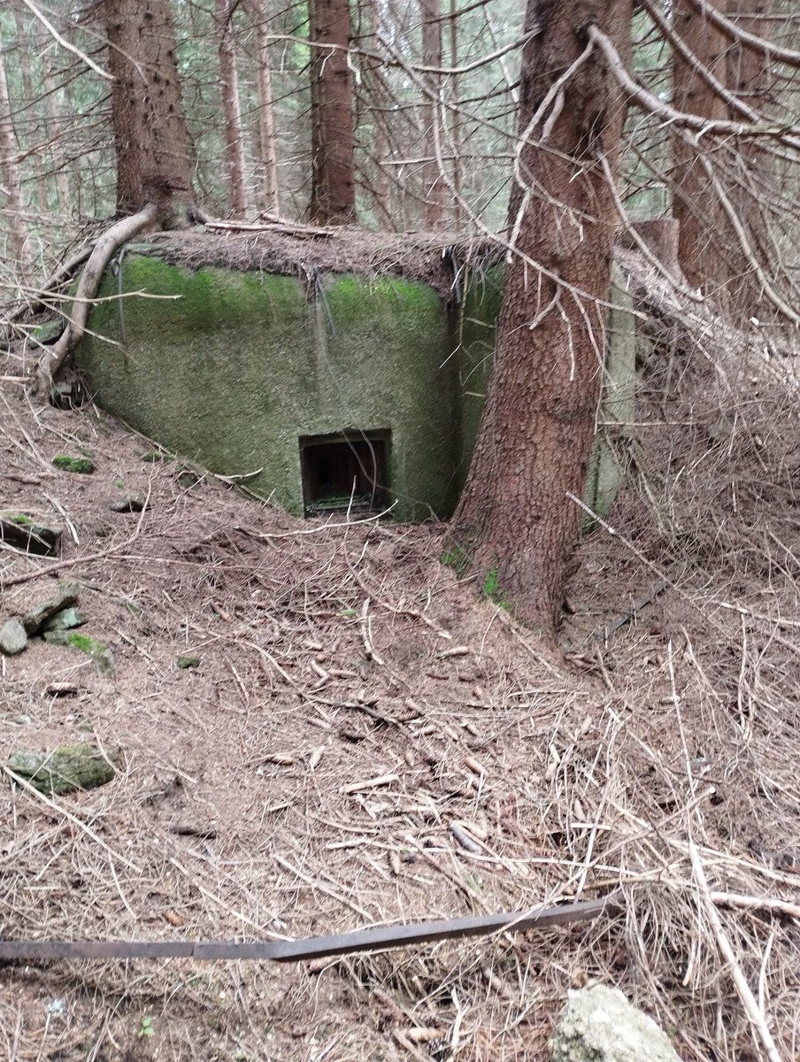 Obhlídka perimetru 🫡