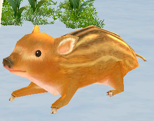 마비노기 최고의 폴리곤
그건 바로 돼지.