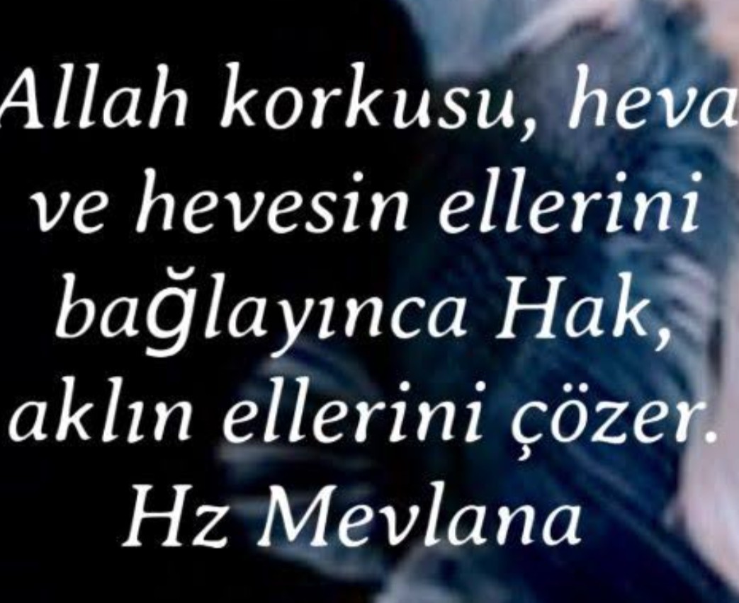 emine (@haldizemin97408) on Twitter photo 