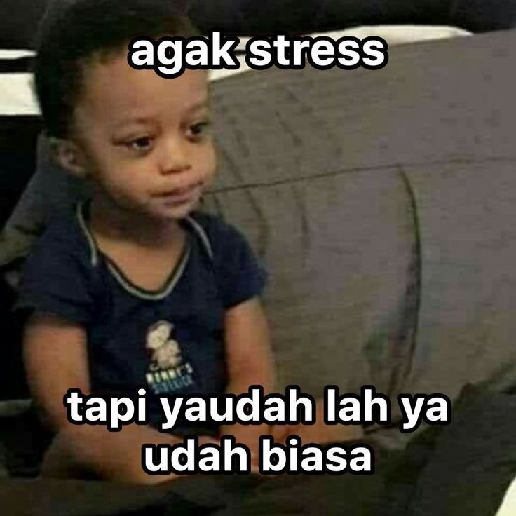 somi (@moankitten) on Twitter photo 