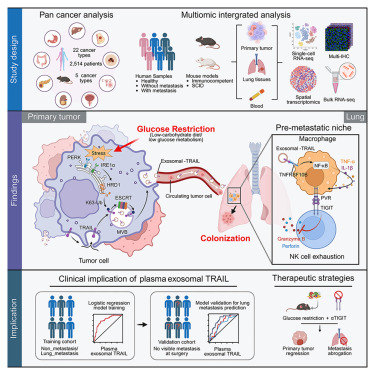 LabWaggoner's tweet photo. Glucose restriction shapes pre-metastatic innate immune landscapes in the lung through exosomal TRAIL @CellCellPress @kuangdm
https://t.co/aWzaJpOuqp https://t.co/MbO8KpwllY