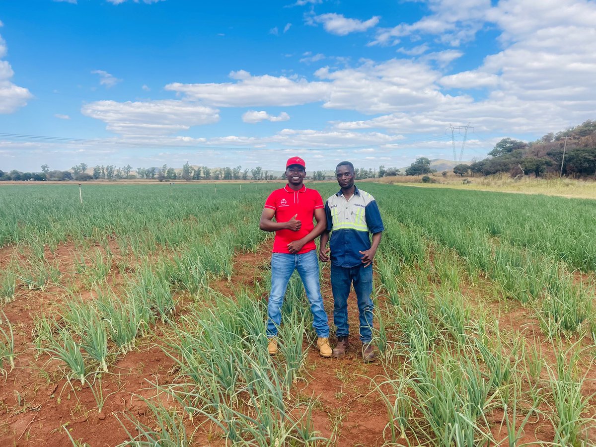 PoteDior's tweet image. Beautiful Tuesday in Shamva with Elias Billy – Learning, Growing, &amp;amp; Investing in Connections! 

This week, I took time to visit my good friend Elias Billy at Juggler Investments in Shamva. It was more than just a catch-up—it was a reminder of how powerful it is to show up for the…