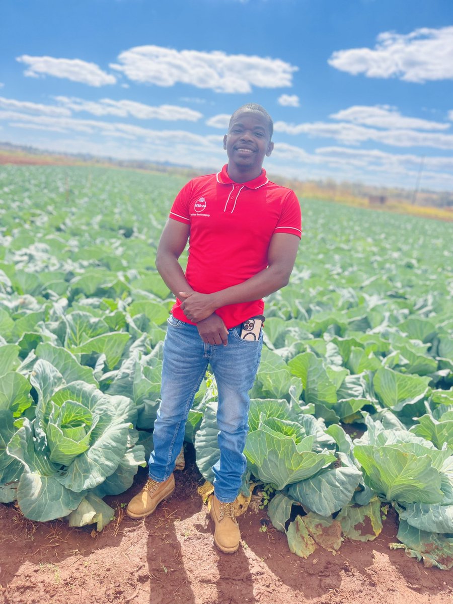 PoteDior's tweet image. Beautiful Tuesday in Shamva with Elias Billy – Learning, Growing, &amp;amp; Investing in Connections! 

This week, I took time to visit my good friend Elias Billy at Juggler Investments in Shamva. It was more than just a catch-up—it was a reminder of how powerful it is to show up for the…
