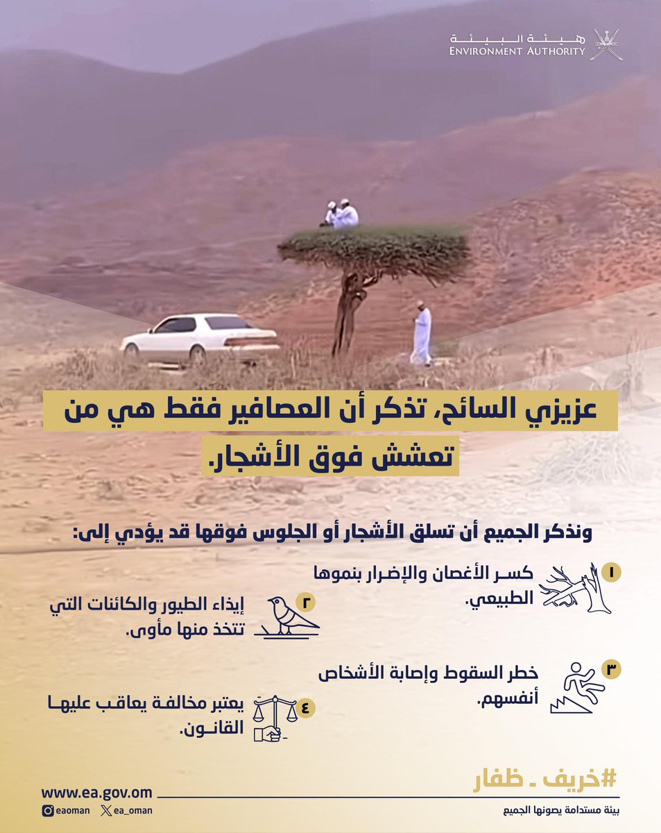 عزيزي السائح.. تذكر أن العصافير فقط هي من تعشش فوق الأشجار 😏

وهو تصرف غير حضاري يؤدي إلى: 
🌳 كسر الأغصان والإضرار بنمو الشجرة
🐦 إيذاء الطيور والكائنات التي تتخذها مأوى
⚠️ خطر السقوط والإصابة
⚖️ مخالفة قانونية

#هيئة_البيئة
#خريف_ظفار