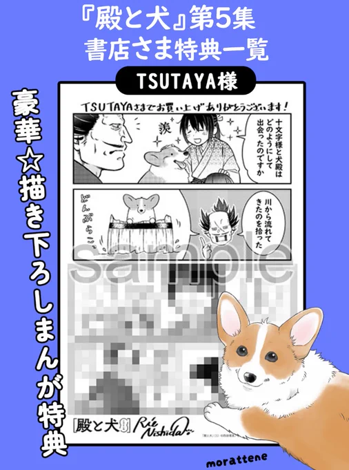 殿と犬5巻が発売されました!書店さま特典やコラボカードなどもありますので店頭で見かけたらよろしくお願いします🙏 