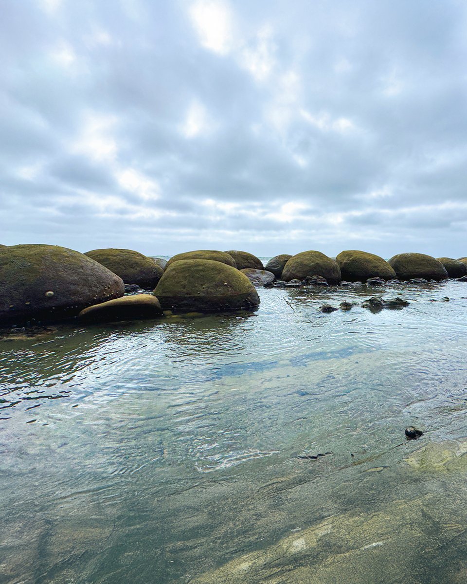 Ever stumbled onto a beach scattered with big, beautiful boulders?? That’s Bowling Ball Beach—where nature gets wonderfully weird. 🪨

📍Mendocino County