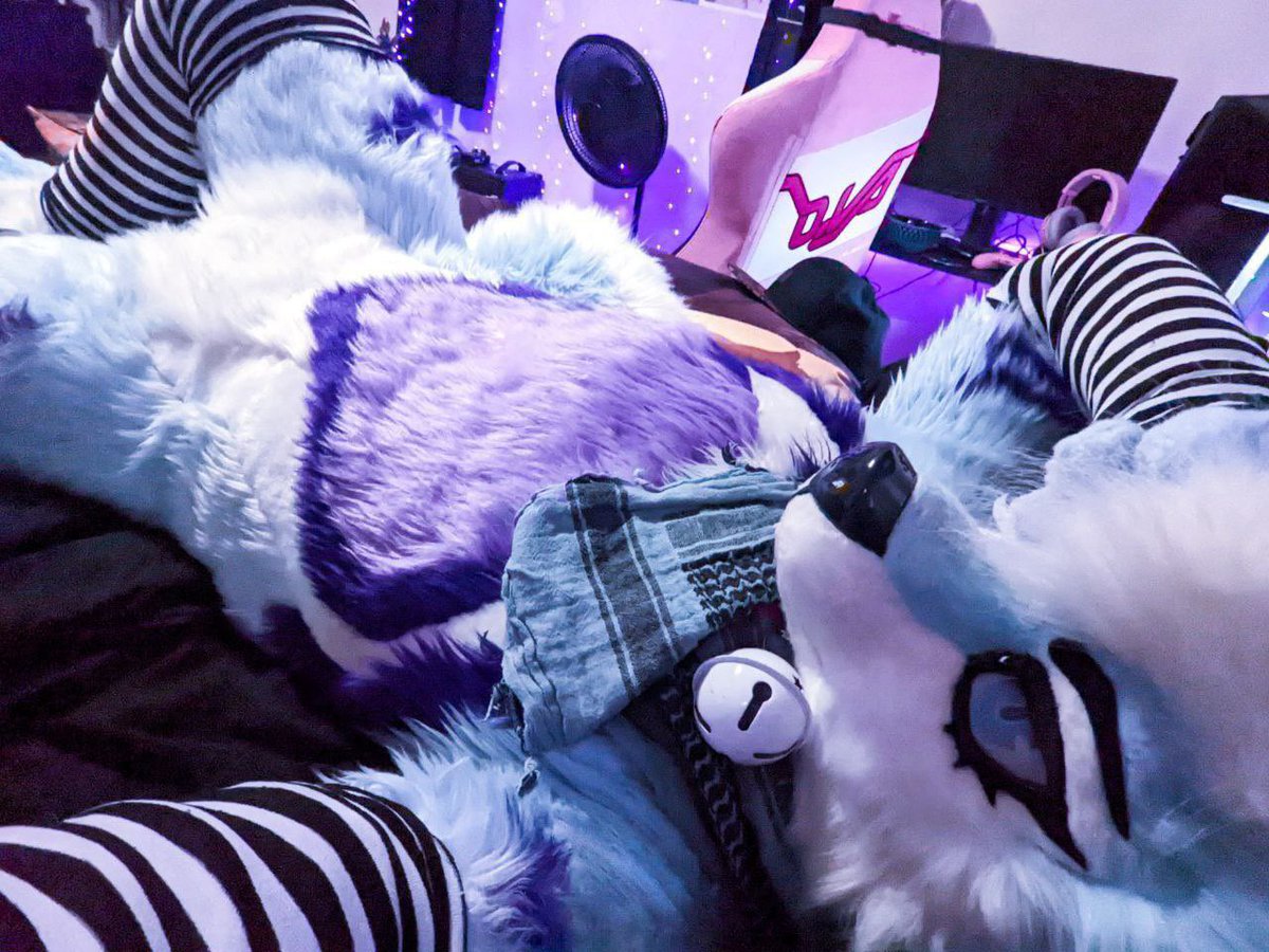 bluehuskybutt's tweet image. 💕🎀💕